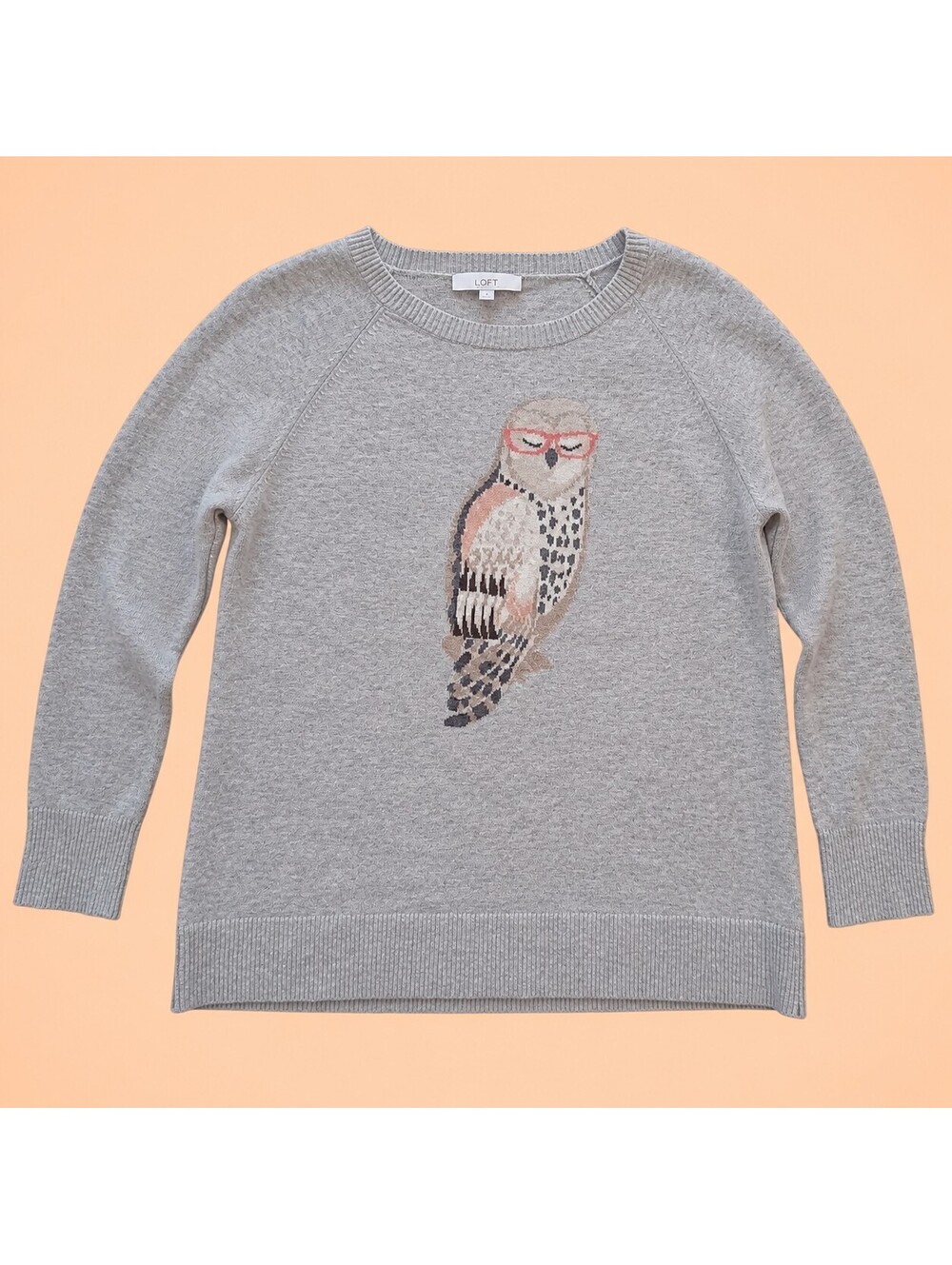 LOFT Womens XL Gray Owl Glasses Graphic Wool Blend Crewneck Sweater Preppy